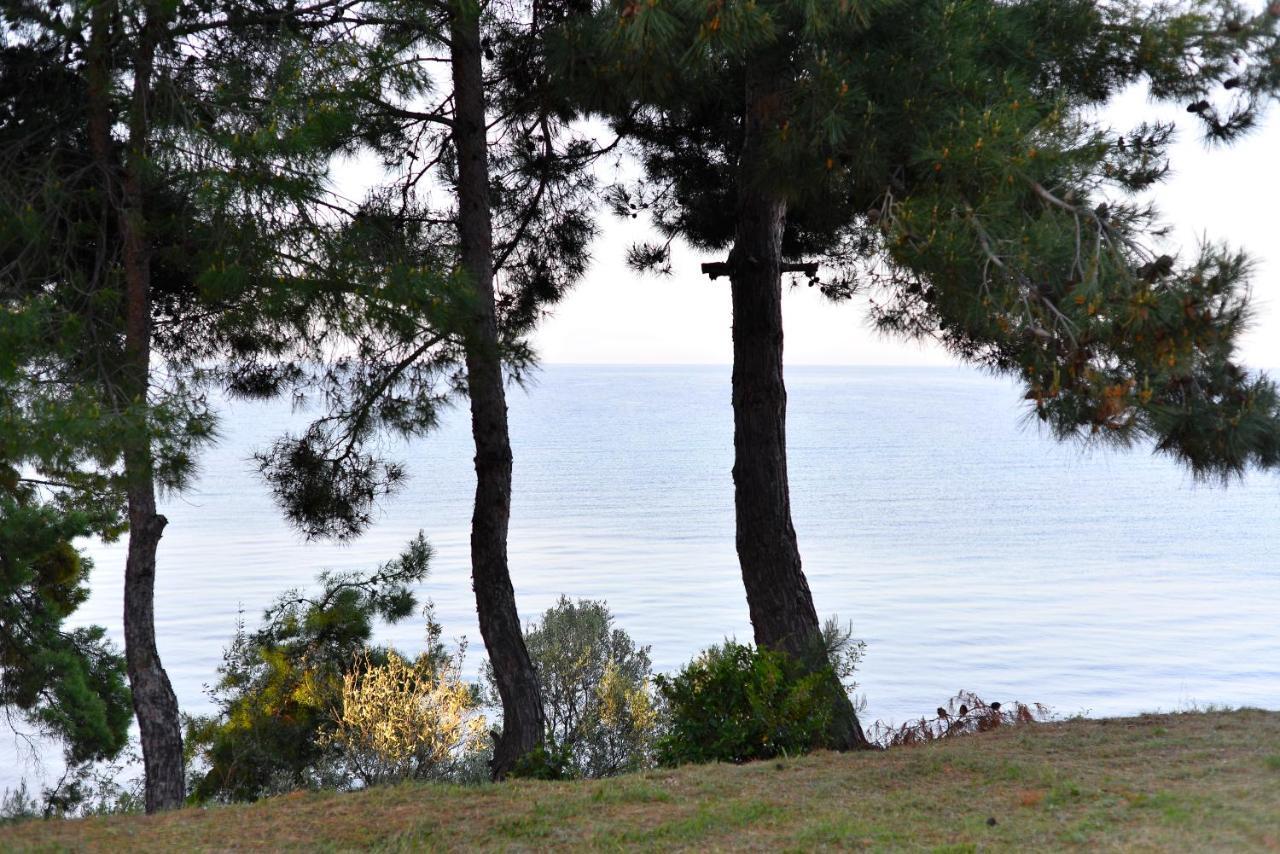 Summerday Villa Private Beach Néa Iráklia Kültér fotó